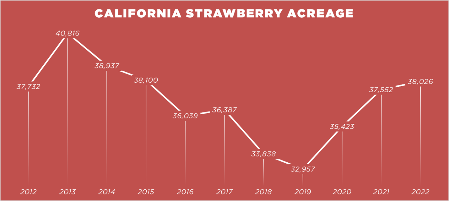 Strawberries claim No. 2 spot in 2022 Fresh Trends survey The Packer